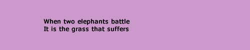 When two elephants battle